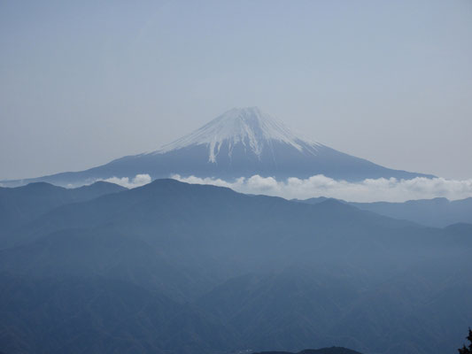 遥拝所に戻って最後にもう一度富士山　淡麗な美しさになっていた