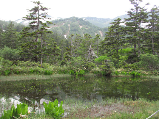 始めにたどり着いた「土俵沼」