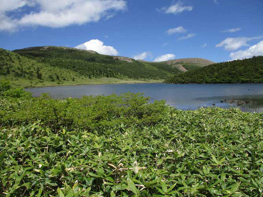 鎌沼も東側に回り込むと山の影になり風がおさまりました　ここでしばらくスケッチ