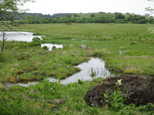 鎌ヶ池から分岐し、この日は物見石へ向かう　