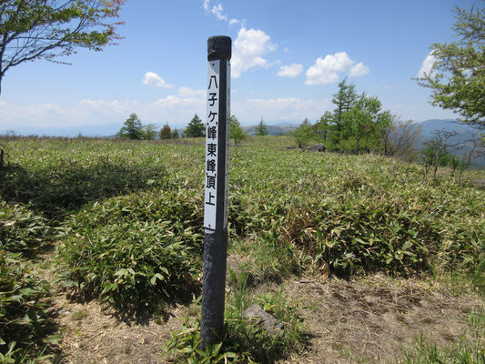 東の山頂に到着