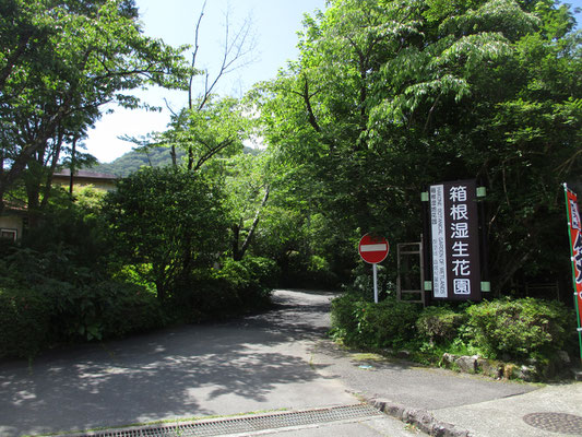 入り口　開園は9時と早い　コロナ禍で今は中止となっているが、10時からはボランティアさんによる園内の解説付きガイドがあり、一時間半以上ゆっくりと説明を聞きながら楽しめた