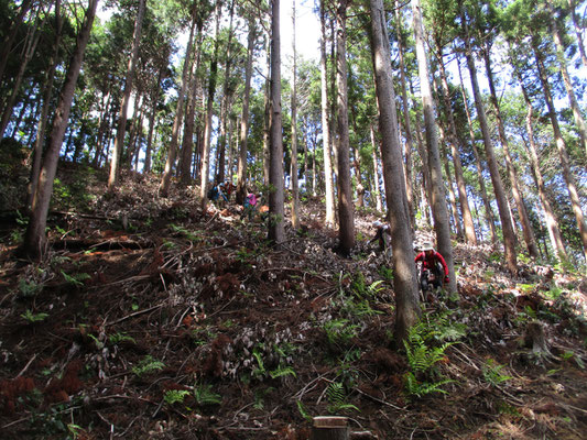 最後の下山は「岩倉ダム左岸林道（仮称）」への急降下