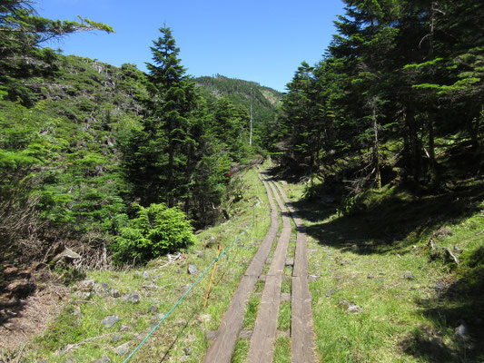 しばし坪庭散策を楽しんだ後、カップを求めていざ、縞枯山荘へ！