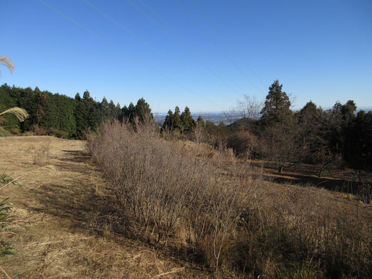 登山口からすぐは開けた私有地の畑となっていた　実はこの開け方、東電の鉄塔での切り払いだった