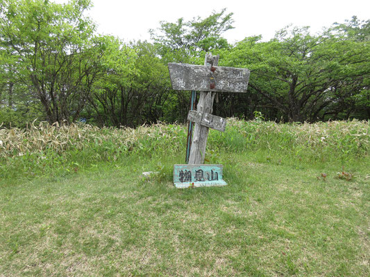 そしてまもなく物見山　山頂では樹林に囲まれあまり展望がない