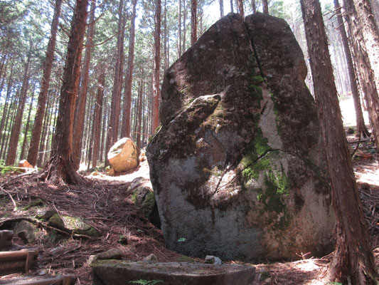 笠置山はボルダリングが盛んなようだが、山全体がこんな巨岩ゴロゴロ　よくもこんな山に植林をしまくったものだ