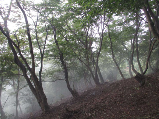 霧が山稜を乗っ越して行く