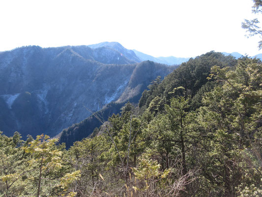 こちらは雲取山方面の縦走路　昔、初心者の頃に冬歩いたのだが、雪で回りの景色は何一つ覚えていない