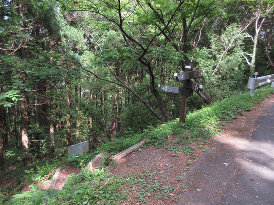 まずは山頂を目指さず山下りに向かう