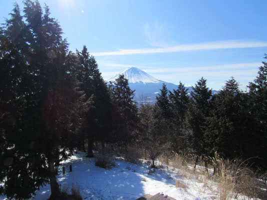 足和田山の展望台から見える富士山　かろうじてここだけ樹木を切っているのか…