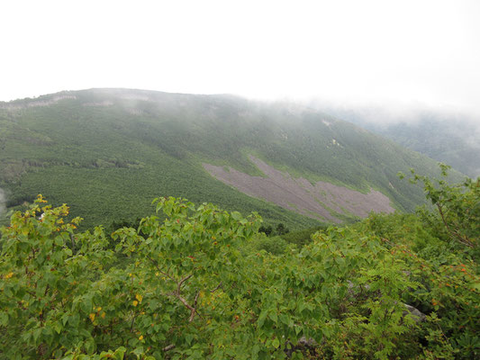 下山時にガスが切れて見えたのがこれ　岩ゴロ地帯（モレーン）が顕著だが、樹林のなかだって岩だらけ