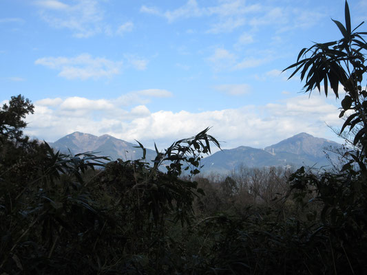 降りた展望地では丹沢山塊も一望