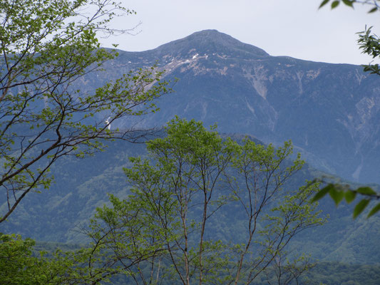 大きく撮影　上河内岳　
