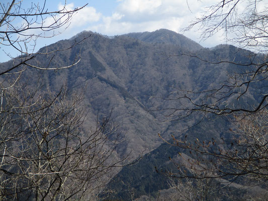 丹沢の並びに見える大室山　手前のピークは加入道山か？