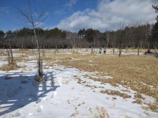 広々とした頂上に到着　ここには桜の木が植樹されていて、花見季節には賑わうのかもしれない　しかし冬の今は貸切