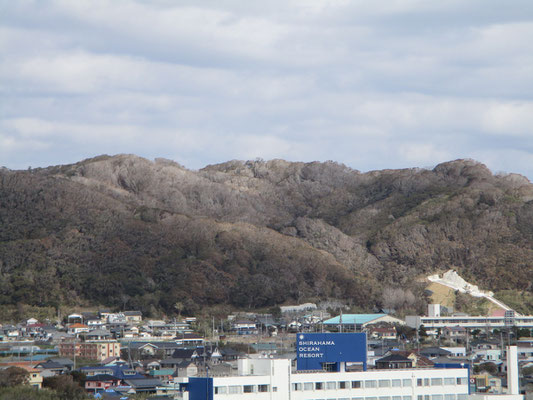 白っちゃけた城山につづく東の稜線部