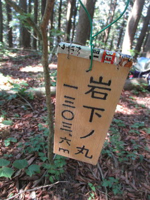 到着した岩下ノ丸にも、同じような手作りの山名板　板の頭にはアルミのカバーが被せてあるが、素材は缶ビール、キリンですね