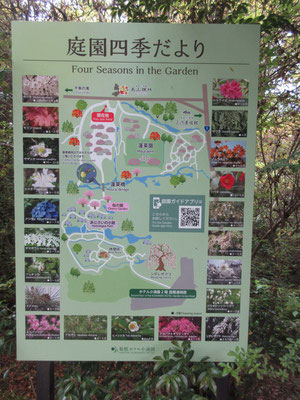 こんな花看板がある　サツキも終わり、今は緑の季節