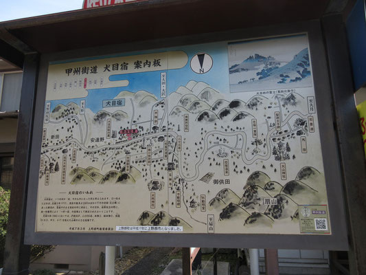 こういう場所だったとのこと　山だけでなく、登山の楽しみはこうしたところにある