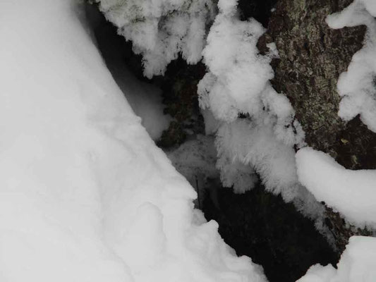 外気温に比べ多少温かい空気の流れが出ている風穴　こうした温度差で雪の結晶ができる