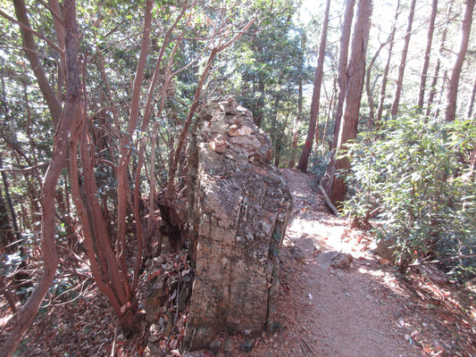 ゆっくりした後は、また岩が散在する稜線を辿って元の林道に戻る