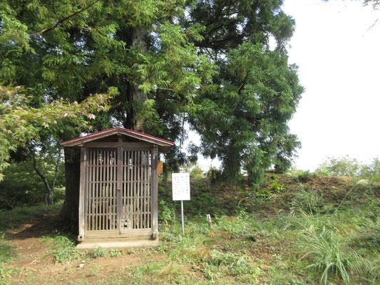 着きました　広い山頂には秋葉大権現が祀られている　その後ろには遠目からもよく見える大きな杉の木がそびえている