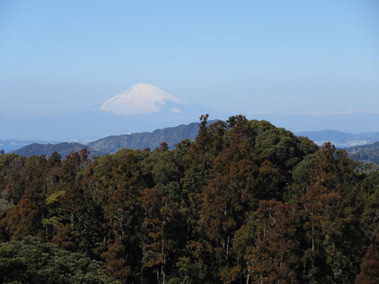 その富士山　真冬の澄んだ大気とは違い、まるで白い富士が浮かんでいるような春の景色