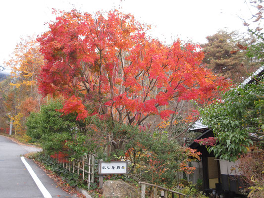 美術館周辺の秋1　早めに美術館に着いて、暫く周辺を散策　すぐ近くには幾つかの宿泊施設がある