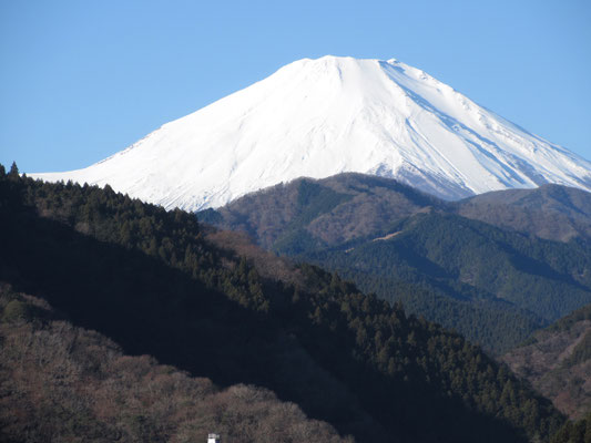 さて、そのベンチの先からはこの眺め！