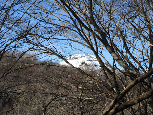 少しずつ登っていくと、富士山の真っ白な頭が覗いてくる