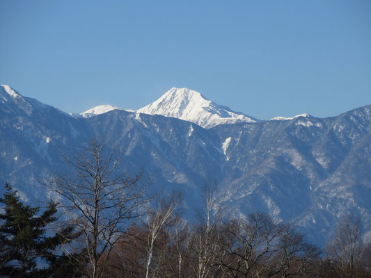 ヤブから一転　見上げれば日本第二の高峰 北岳が「こんにちは」　小太郎尾根の稜線も垣間見える　バットレスがギザギザとすごい迫力だ　ロッジ山旅を出た後には、この展望をまた大き目のスケッチブックに一枚描く