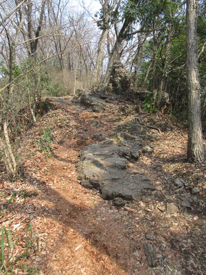 岩の層が縦に走っているような奇岩ゆえ、あちこちに大きな不思議な形をした岩がある