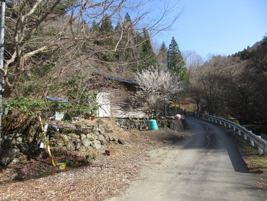 無事、車道のある場所に出る　