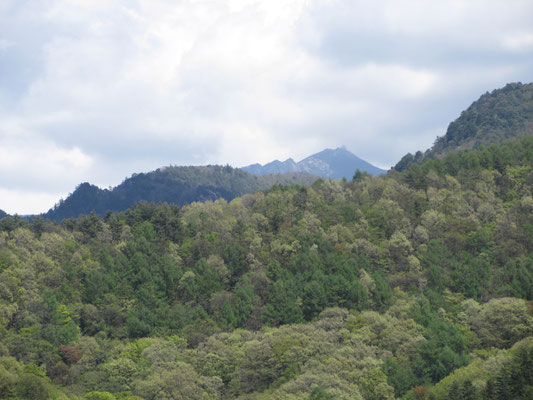 こちらは頭だけだが、金峰山　五丈岩も見える！