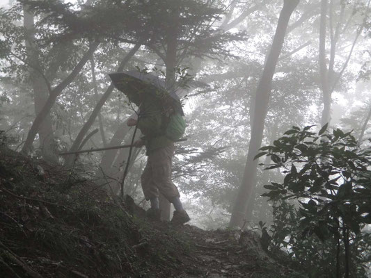 霧にけむる中を登る