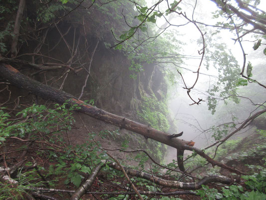 ただこの山域は花崗岩が主らしく、稜線北側はどこもこうした崩壊が進んでいる