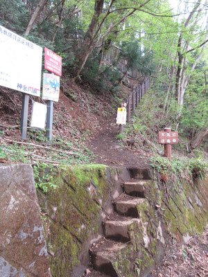 で、やっと着いた半原越　ここで法華峯林道に出る　ここまで来ると、何故かみんなホッとする＝ホームに戻ったような…