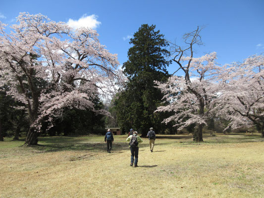 午前中の曇天と風が強い日だったせいか、何故かひととき広場は私たちの貸切だった