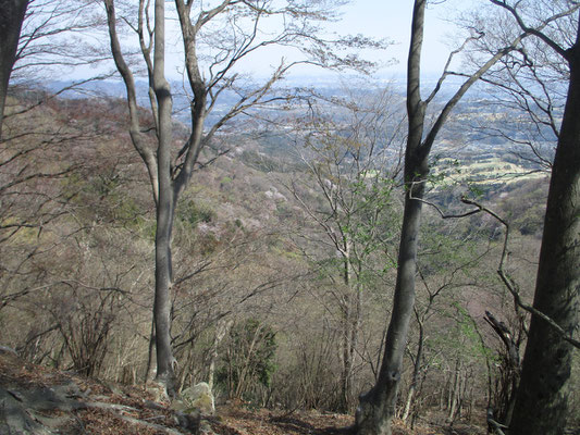 登ってきた華厳の尾根を振り返る　冬なら筑波山まで見通せる遠方の景色も霞んでいる