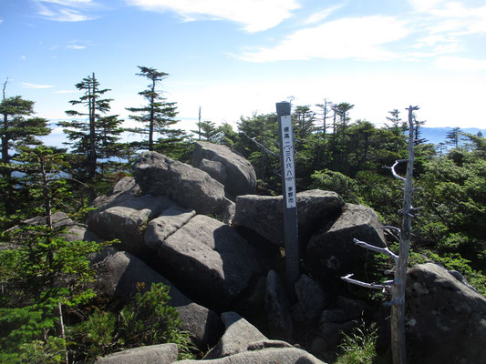 そこから程なく、巨岩が積み重なった場所が縞枯山展望台