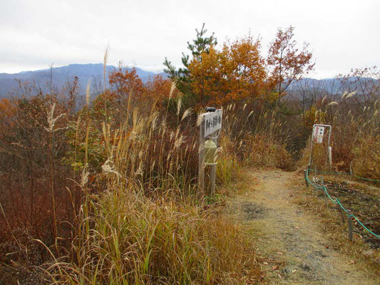 山頂にある「夢叶う霧訪の鐘」ついてみるとお寺の鐘みたいな音でした