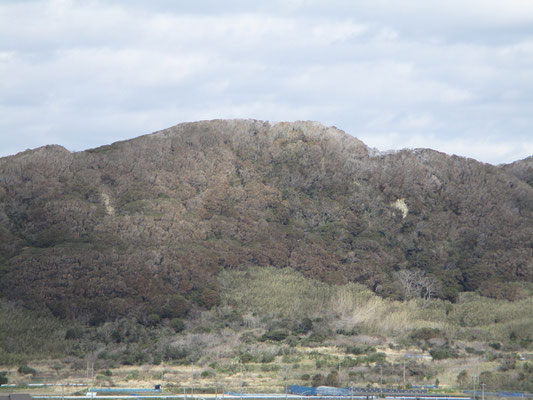 灯台から正面に見た城山