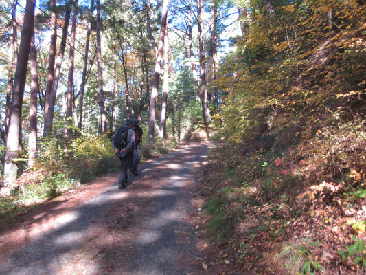 まだしばらく細い車道を登る 後で分かるが尾根にはずっと山道が続いているようだった