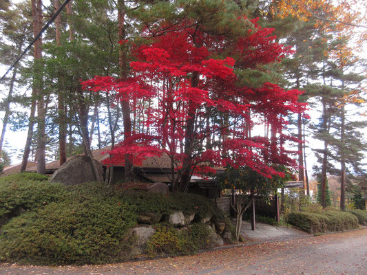 美術館周辺の秋2　渋い家屋に真紅の紅葉
