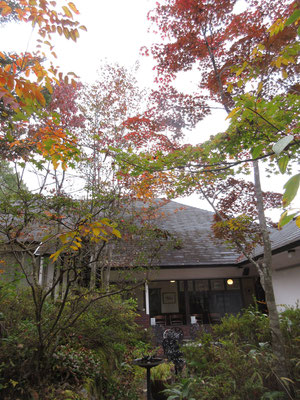 中庭から見た美術館