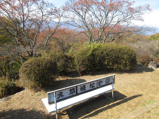 この園内も桜の木がいっぱい