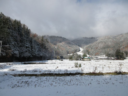 さて、明けて翌朝の中綱湖の雪景色