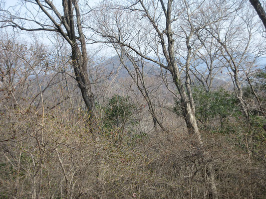 ここからは三毳山本峰　青竜ヶ岳が見える　