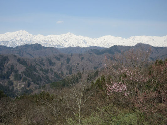 朝食後訪ねたアルプス展望台からの眺め　絶景！